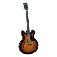 Ηλεκτρική Κιθάρα Τύπου ES335