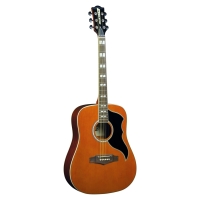 Ηλεκτρακουστική Κιθάρα Tύπου Dreadnought με Fishman Sonitone