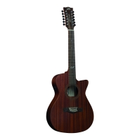Ηλεκτρακουστκή Κιθάρα Τύπου Auditorium Cutaway, 12-Χορδη