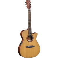 Ηλεκτρακουστκή Κιθάρα Τύπου Auditorium