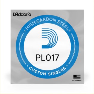 D'Addario PL017